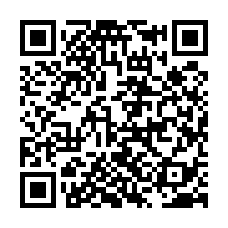QR code for LSI539
