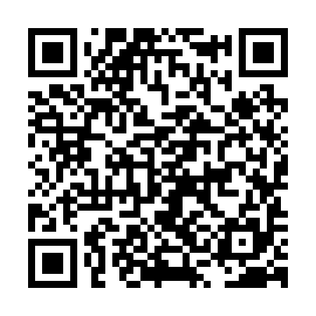 QR code for LSK295