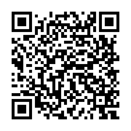 QR code for LSP955