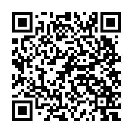 QR code for LSR667