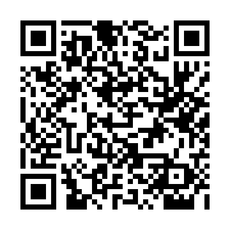 QR code for LSU028