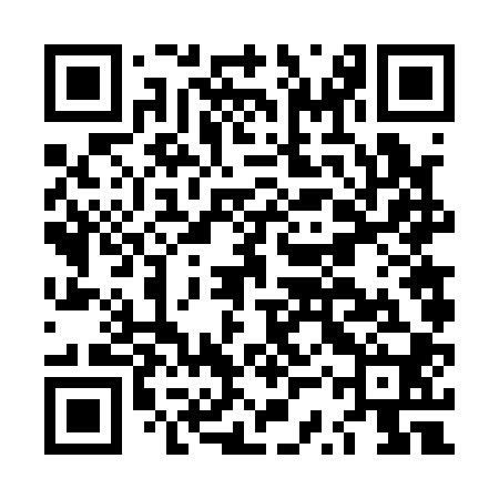 QR code for LSV100