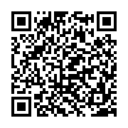 QR code for LSV236