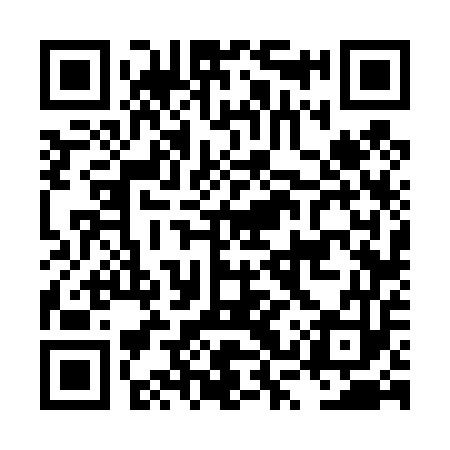 QR code for LSV453