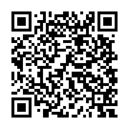 QR code for LSV551