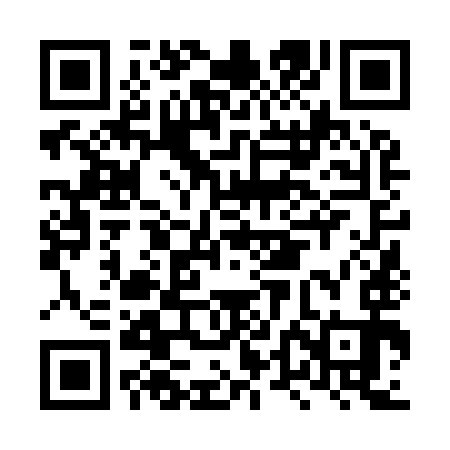 QR code for LTN993