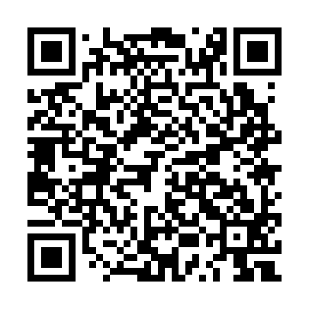 QR code for LUA393