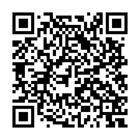 QR code for LUB523