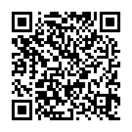 QR code for LUD931