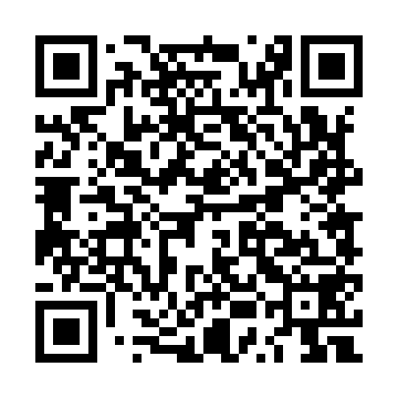 QR code for LUD958
