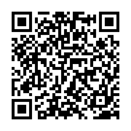 QR code for LUG317