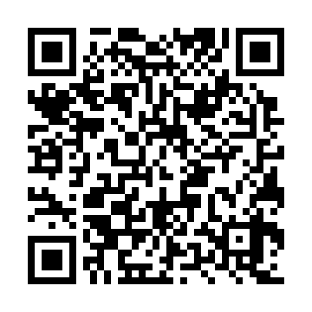 QR code for LUG338