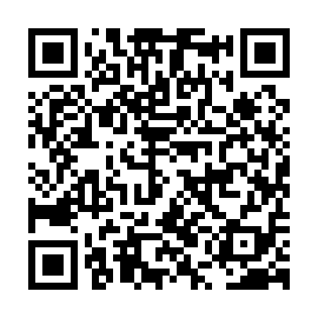 QR code for LUI119