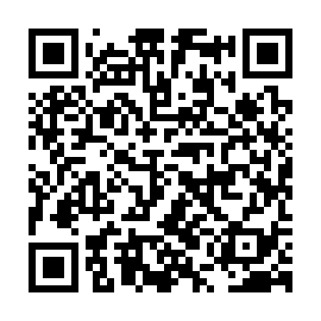 QR code for LUI339