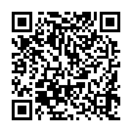 QR code for LUI398