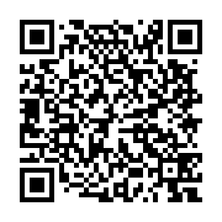 QR code for LUI579