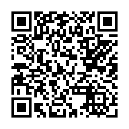 QR code for LUI653