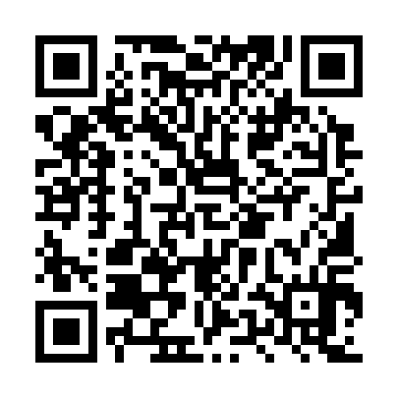 QR code for LUM314