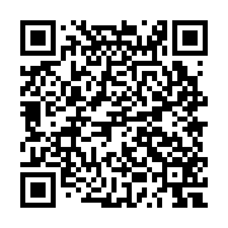 QR code for LUM356