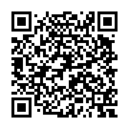 QR code for LUM411
