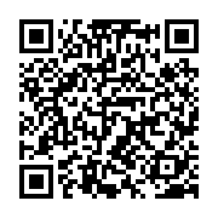QR code for LUN228