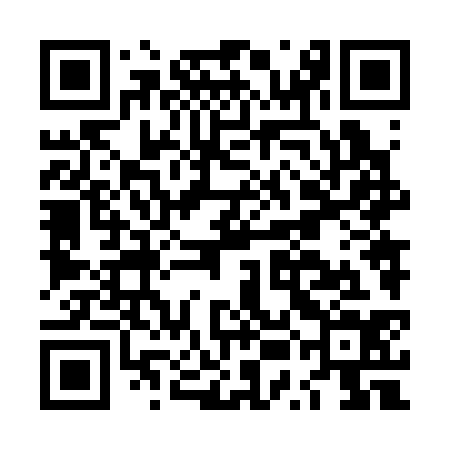 QR code for LUN334