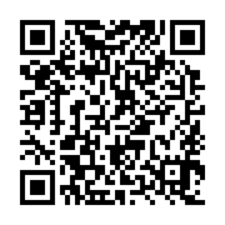 QR code for LUN395