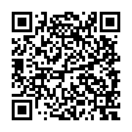QR code for LUN599