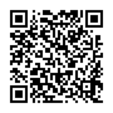 QR code for LUN698
