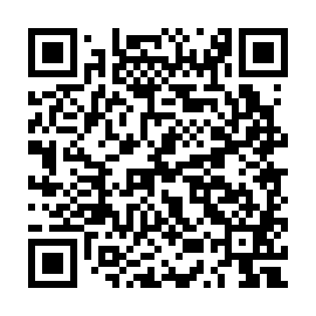 QR code for LUP381
