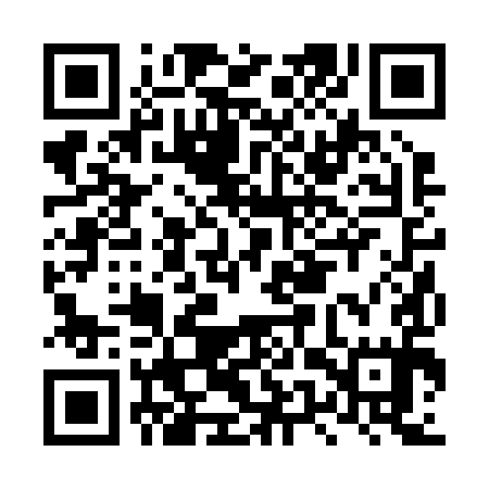 QR code for LUR295