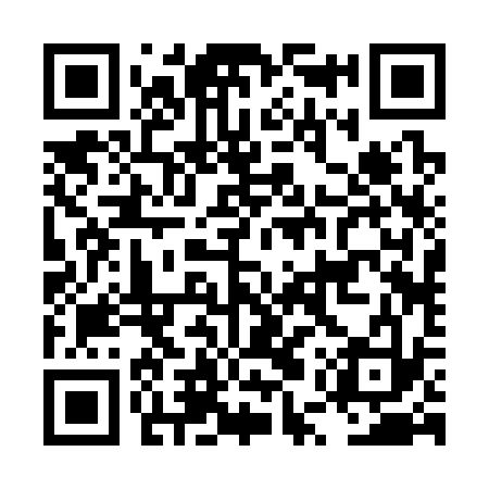 QR code for LUR333