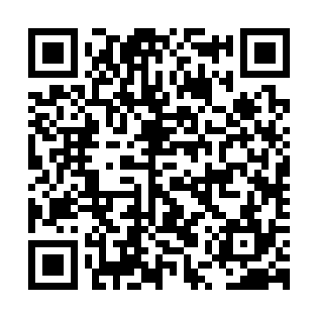 QR code for LUR334