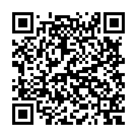 QR code for LUR811