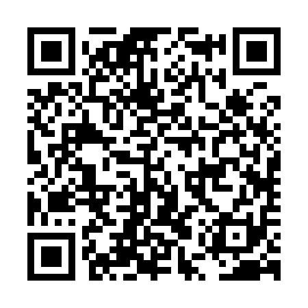QR code for LUR911