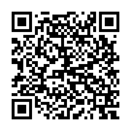QR code for LUS161