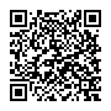 QR code for LUT173