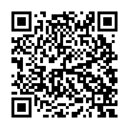QR code for LUV307