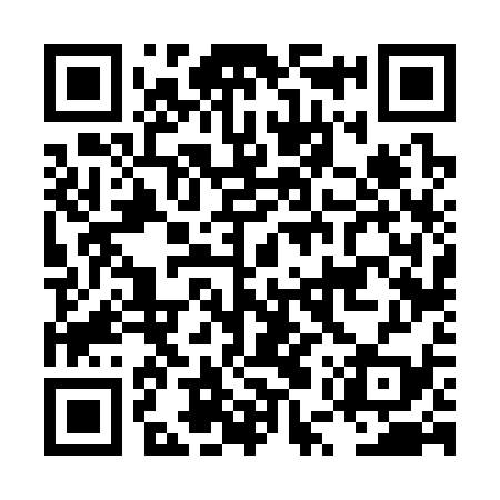 QR code for LUV339