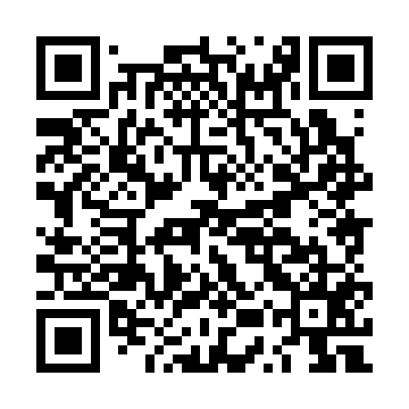 QR code for LUX355