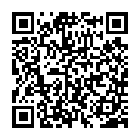 QR code for LUX641