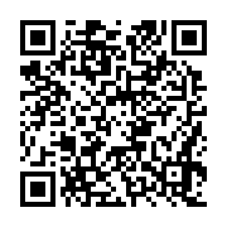 QR code for LUZ376