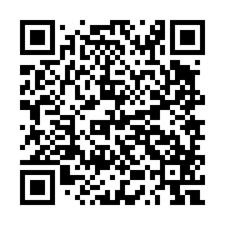 QR code for LUZ487