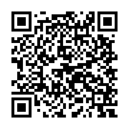QR code for LUZ544