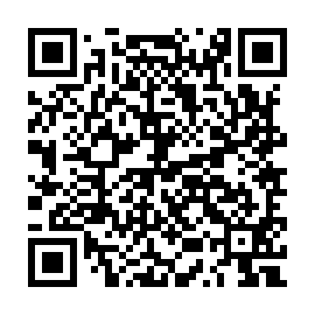 QR code for LUZ991