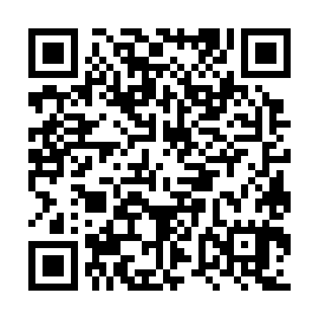 QR code for LVG385