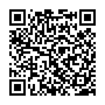 QR code for LVG451