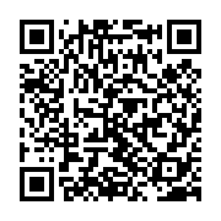 QR code for LVG478