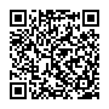 QR code for LVI294