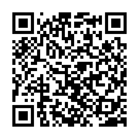 QR code for LVI339